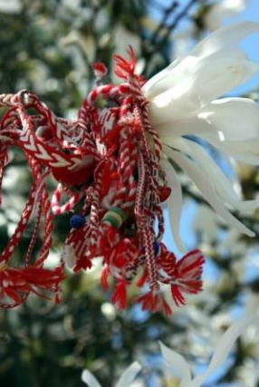 Some interesting facts about the Summer Day in Albania