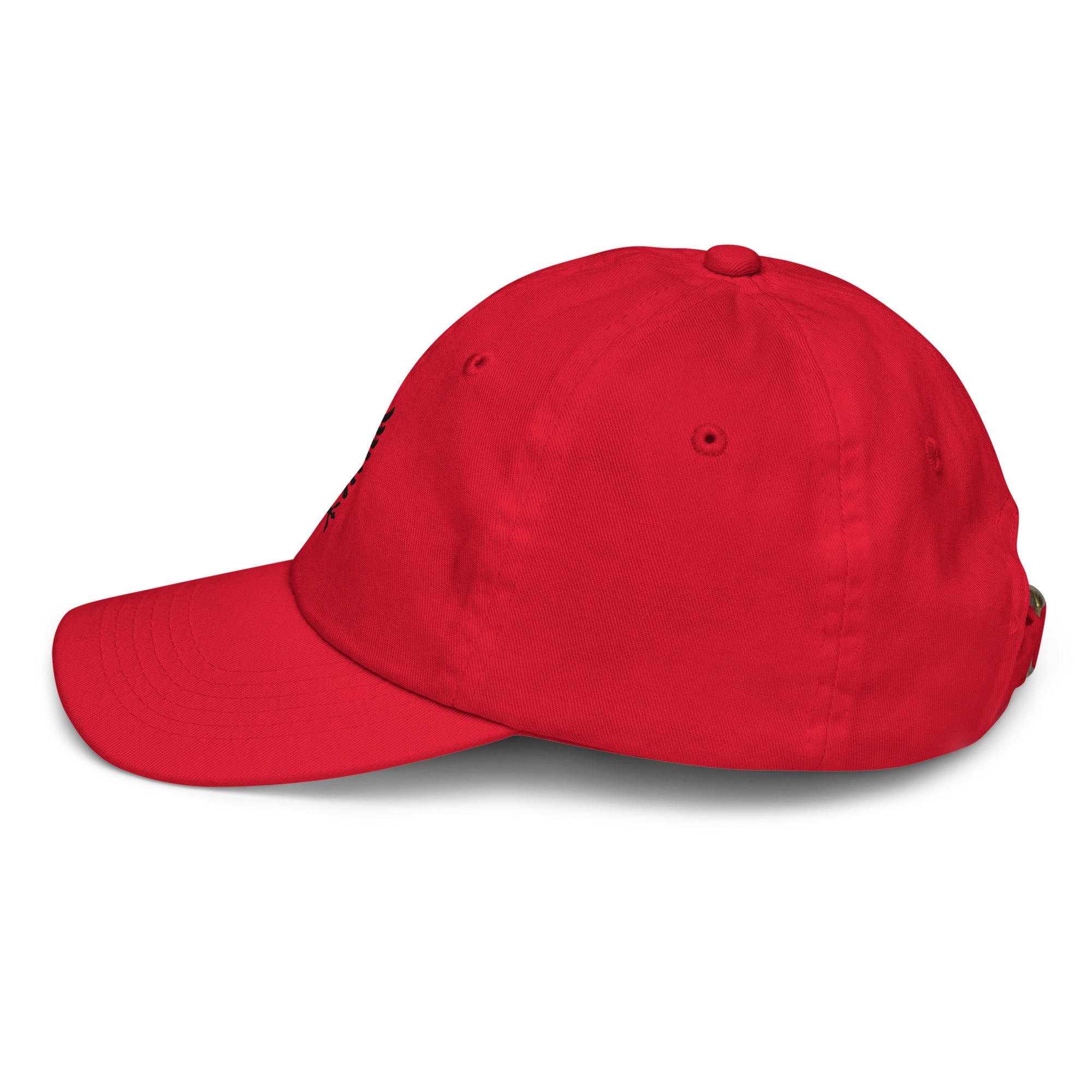 #color_red